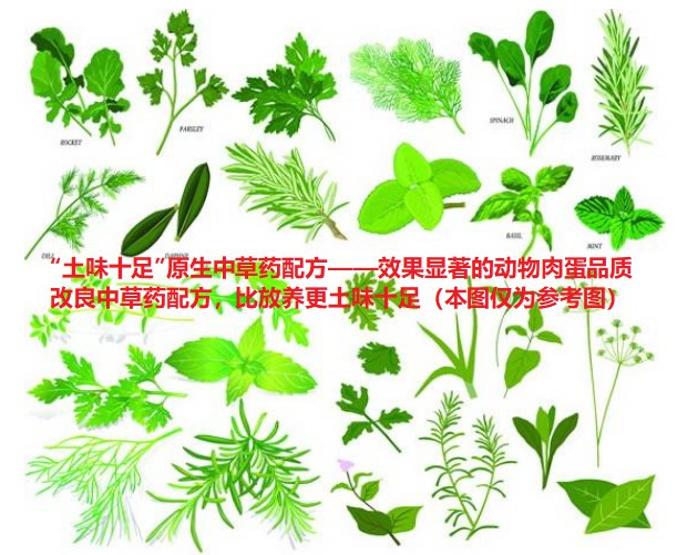 “土味十足”原生中草藥配方——效果顯著的動物肉蛋品質改良中草藥配方，比放養更土味十足